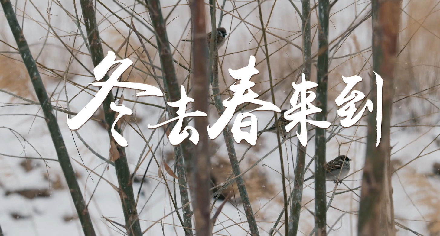 百萬大移民系列短視頻|趙萍英-冬去春來到